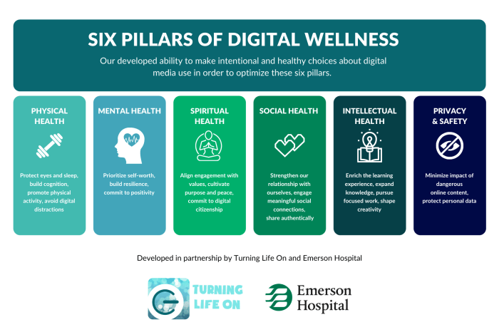Digital Wellness Habits for a Healthier Digilife: A Guide to Balance ...